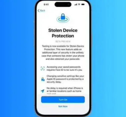 平陆苹果授权维修店分享被盗设备保护功能开启方法 