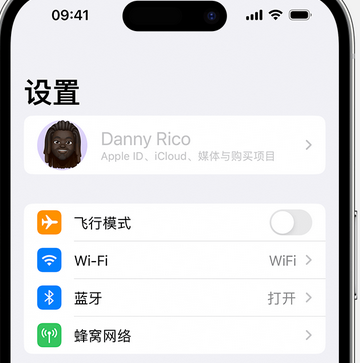 平陆appleID维修服务iPhone设置中Apple ID显示为灰色无法使用 