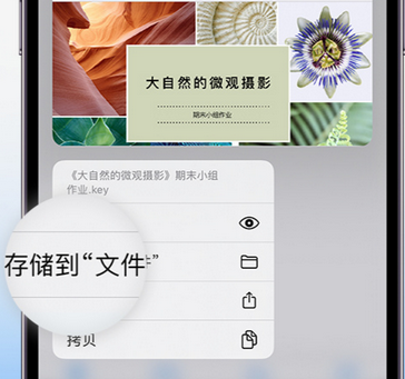 平陆apple维修中心分享iPhone文件应用中存储和找到下载文件