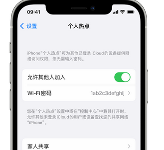 平陆apple服务站点分享iPhone上个人热点丢失了怎么办 