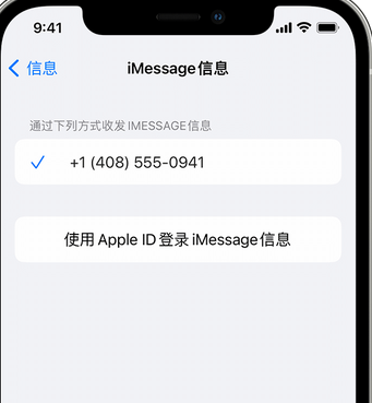 平陆apple维修iPhone上无法正常发送iMessage信息 