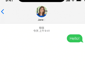 平陆apple维修iPhone上无法正常发送iMessage信息