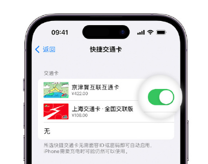 平陆apple维修点分享iPhone上更换Apple Pay快捷交通卡手绘卡面 