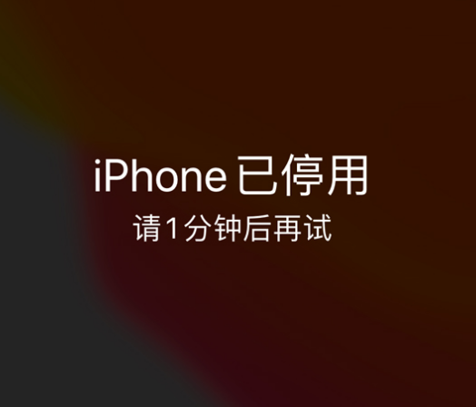 平陆苹果手机维修分享:iPhone 显示“不可用”或“已停用”怎么办？还能保留数据吗？ 