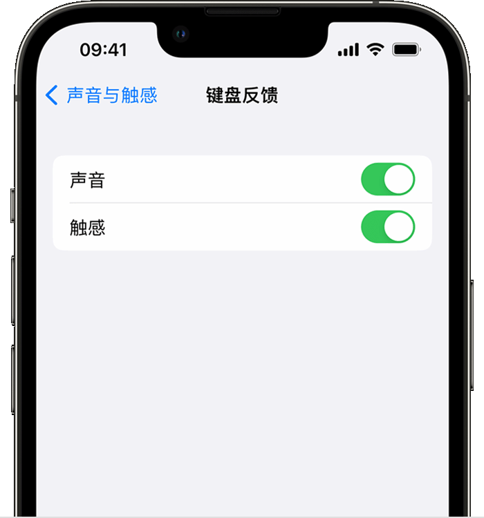 平陆苹果14维修店分享如何在 iPhone 14 机型中使用触感键盘 