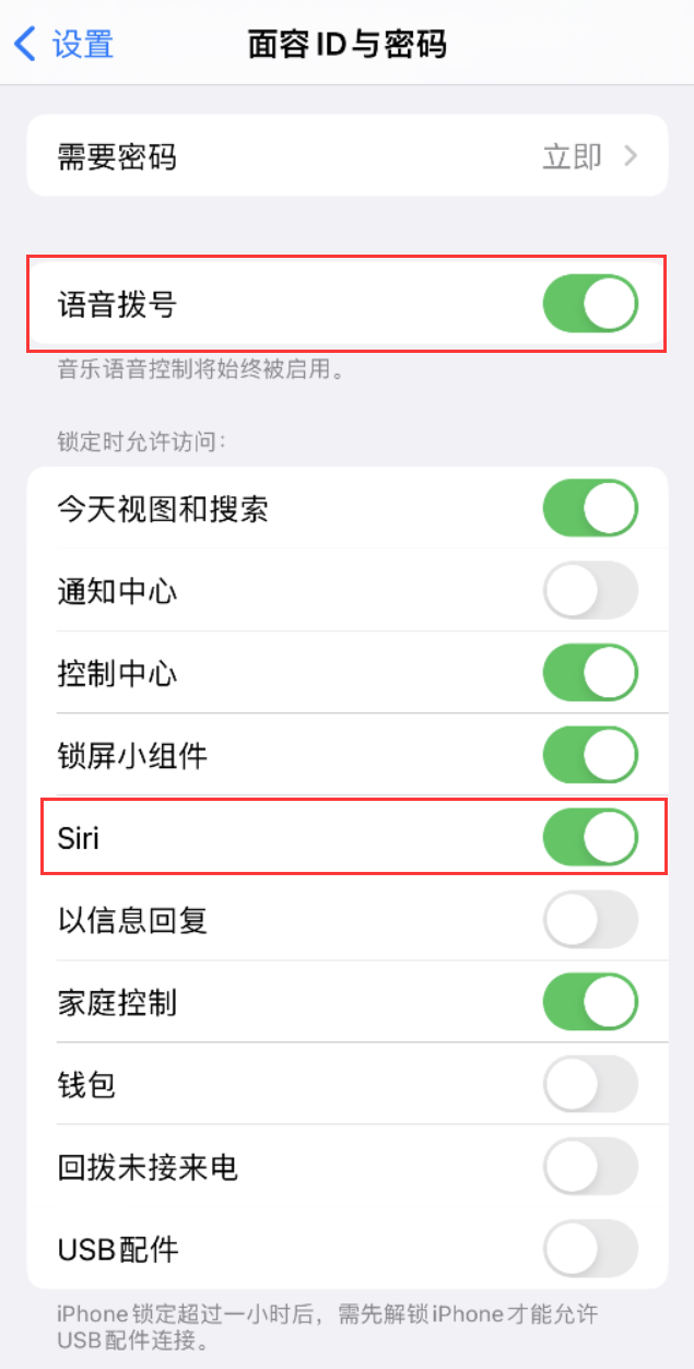 平陆苹果维修网点分享不解锁 iPhone 的情况下通过 Siri 拨打电话的方法 