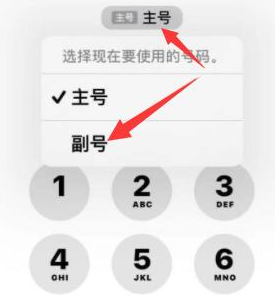 平陆苹果14维修店分享iPhone 14 Pro Max使用副卡打电话的方法 