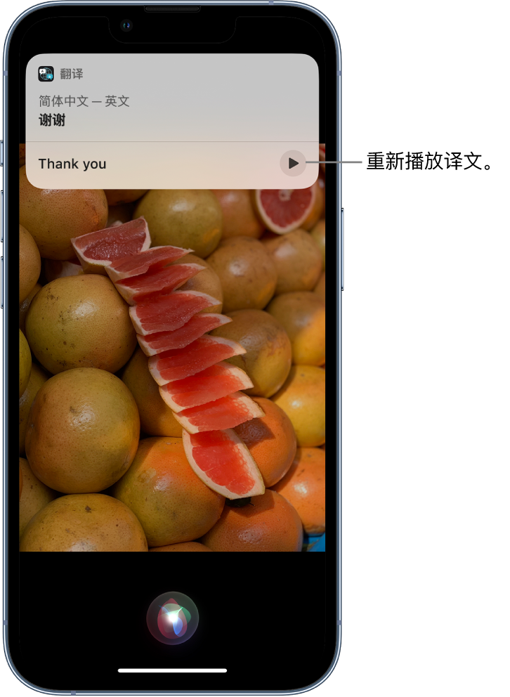 平陆苹果14维修分享 iPhone 14 机型中使用 Siri：了解 Siri 能帮你做什么 