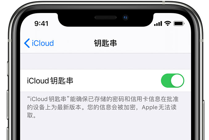 平陆苹果手机维修分享在 iPhone 上开启 iCloud 钥匙串之后会储存哪些信息 