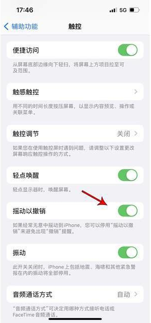 平陆苹果手机维修分享iPhone手机如何设置摇一摇删除文字 