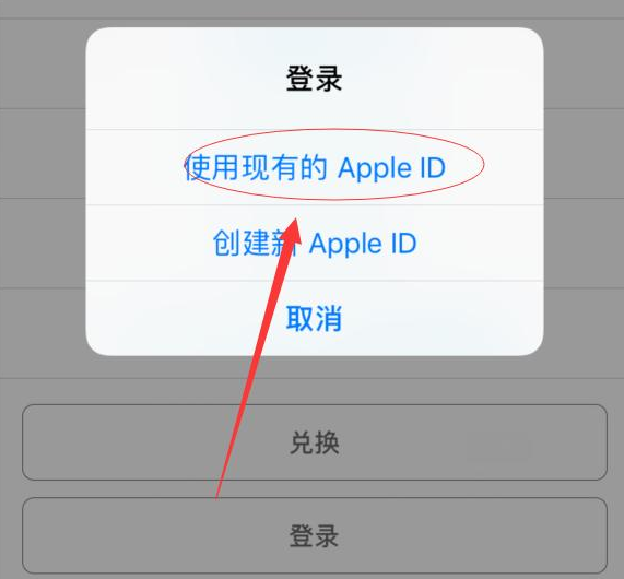 平陆苹果手机维修分享两台iPhone设备可以同时登录一个Apple ID吗 