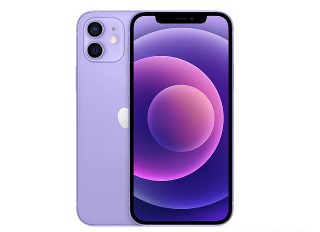 平陆苹果手机维修分享现阶段要不要入手紫色版iPhone12 