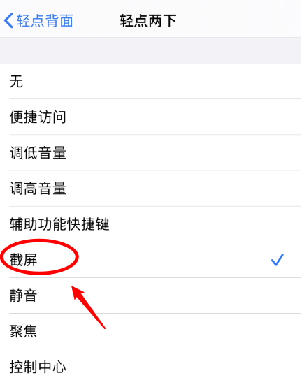 平陆苹果手机维修分享iPhone12如何启用双击截屏 