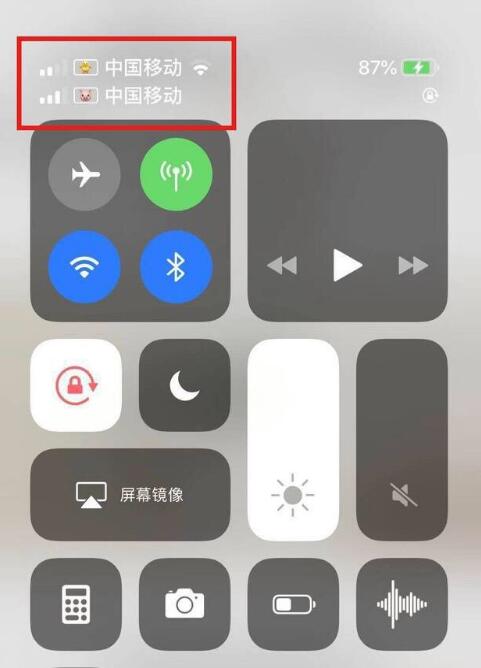 平陆苹果手机维修分享为 iPhone 12 双卡设置标签 