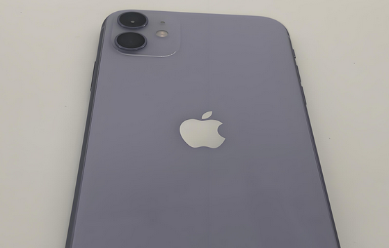 平陆苹果11系统维修分享iPhone11手机系统崩溃无法开机如何解决 